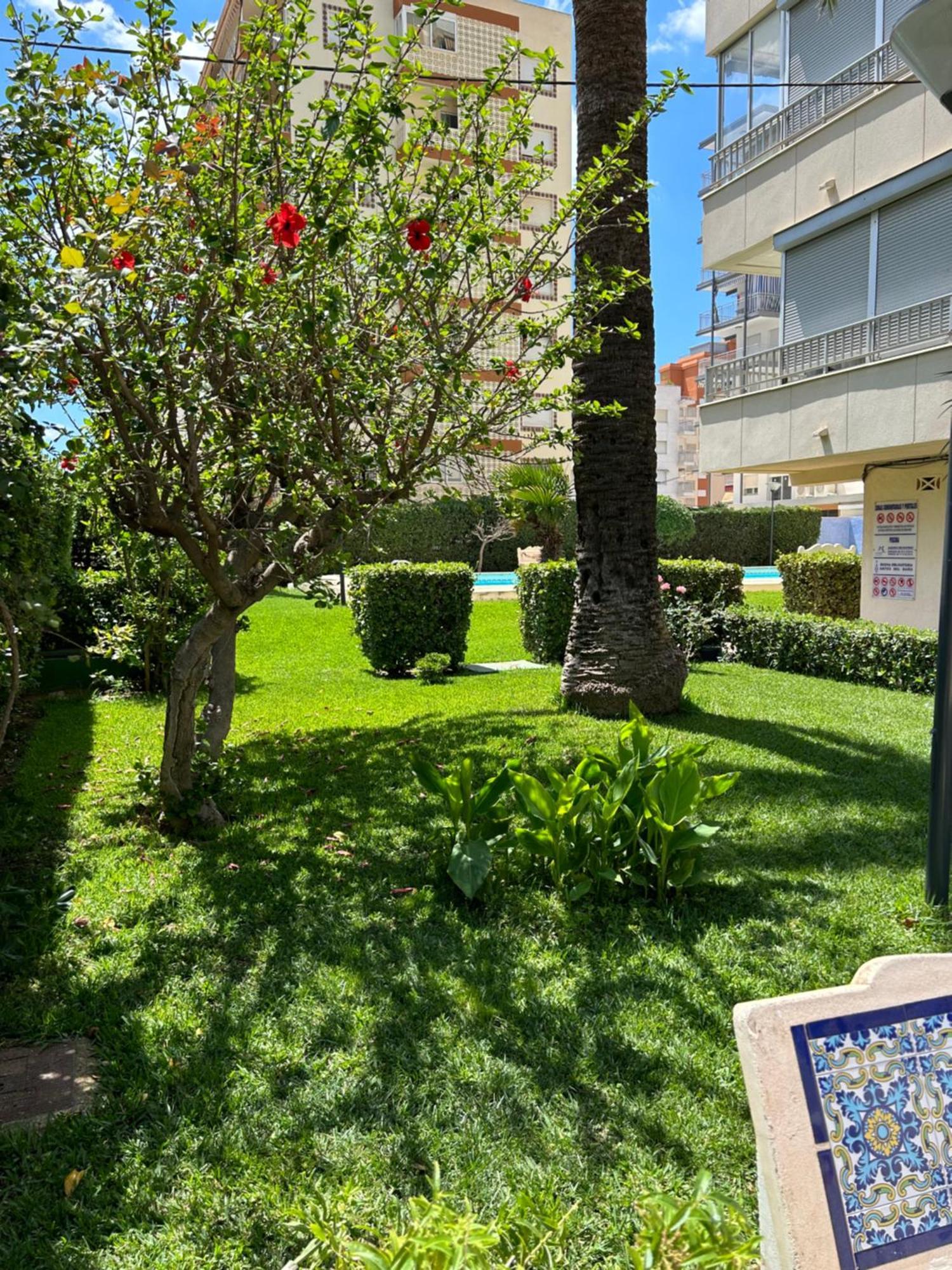 Apartamento Gandia Playa 150M Playa Con Parking Privado Y Piscina Playa de Gandia Extérieur photo